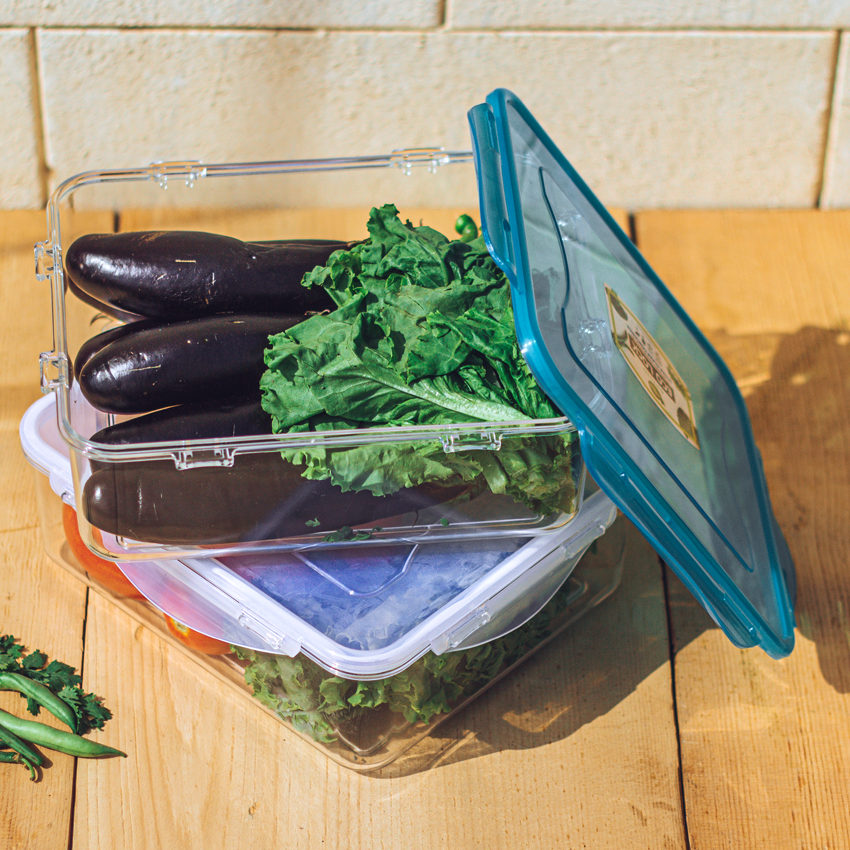 Eco Lock Food Keeper - Medium